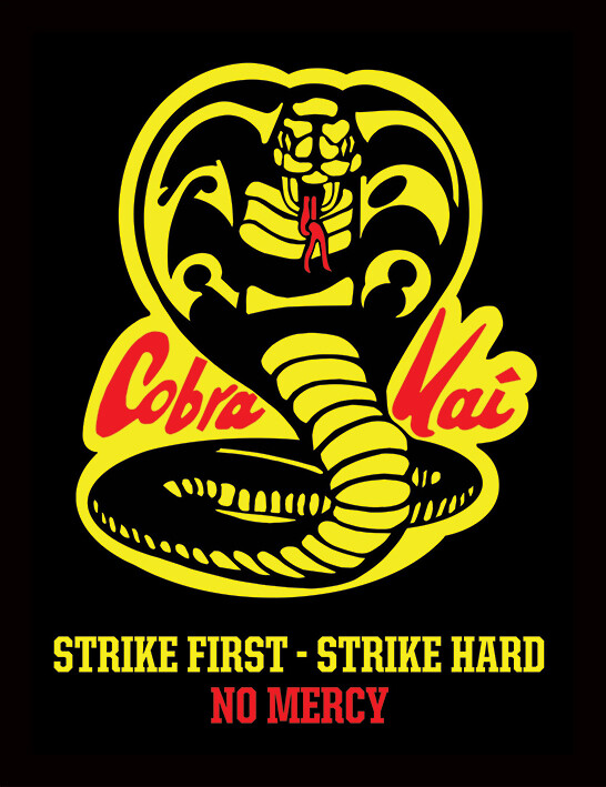 cobra-kai.fr